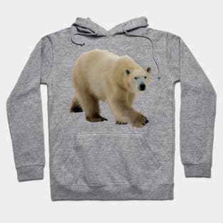 Low Poly Polarbear Hoodie